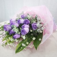 12 Purple Roses