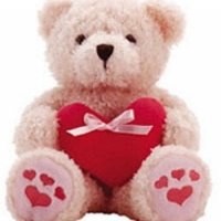 24" Pink Teddy Bear with Heart shape Pillow.