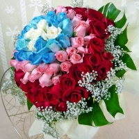 99 Roses ( 5white20blue33Pink41red) Hand bouquet