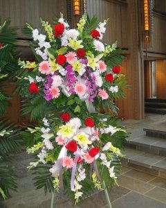 Light Sympathy Standing